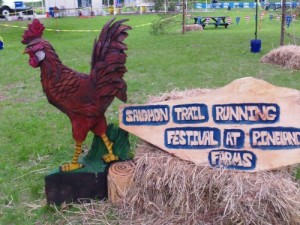 Salomon trail running festival